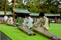 Koto performance at Meiji Shrine