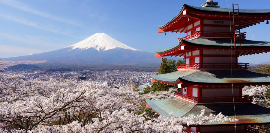 mt-fuji-sakura.jpg