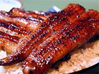 Broiled eel on rice