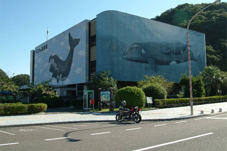 Taiji Whale Museum