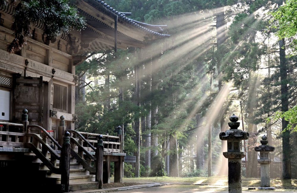 Ancient Shinto shrines are a
        unique feature of Japanese culture.