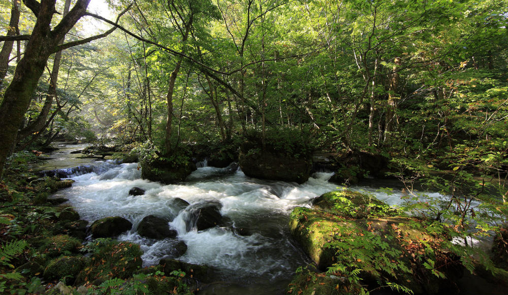 Oirase Gorge