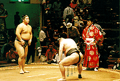 Makushita rikishi warm up